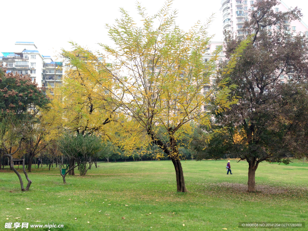解放公園