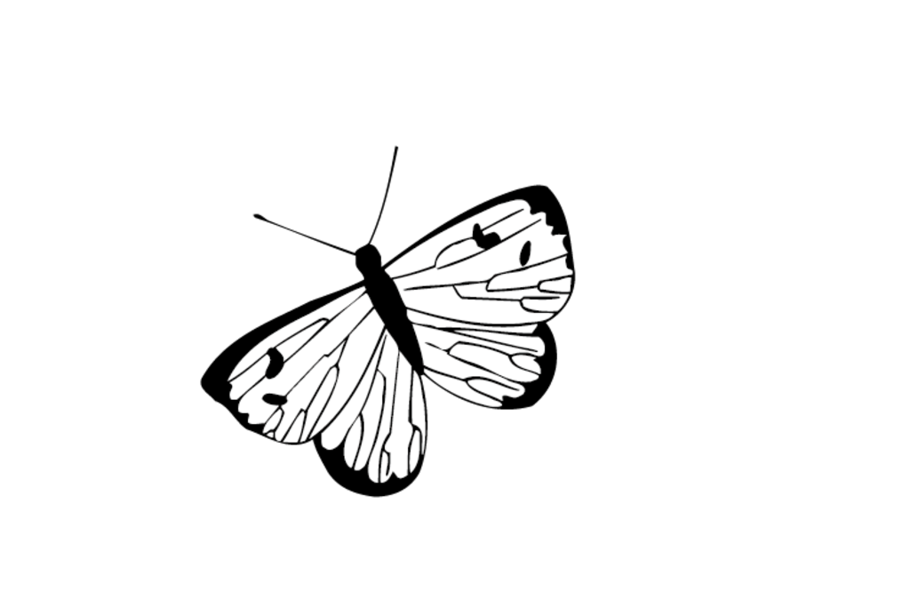 蝴蝶 矢量图