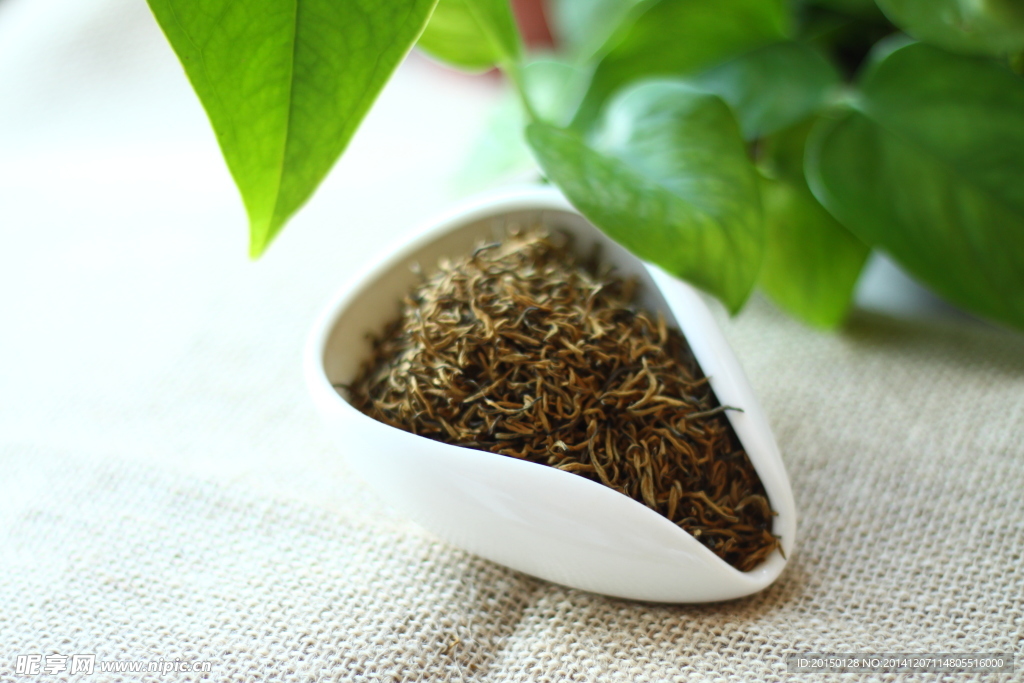 金駿眉茶葉