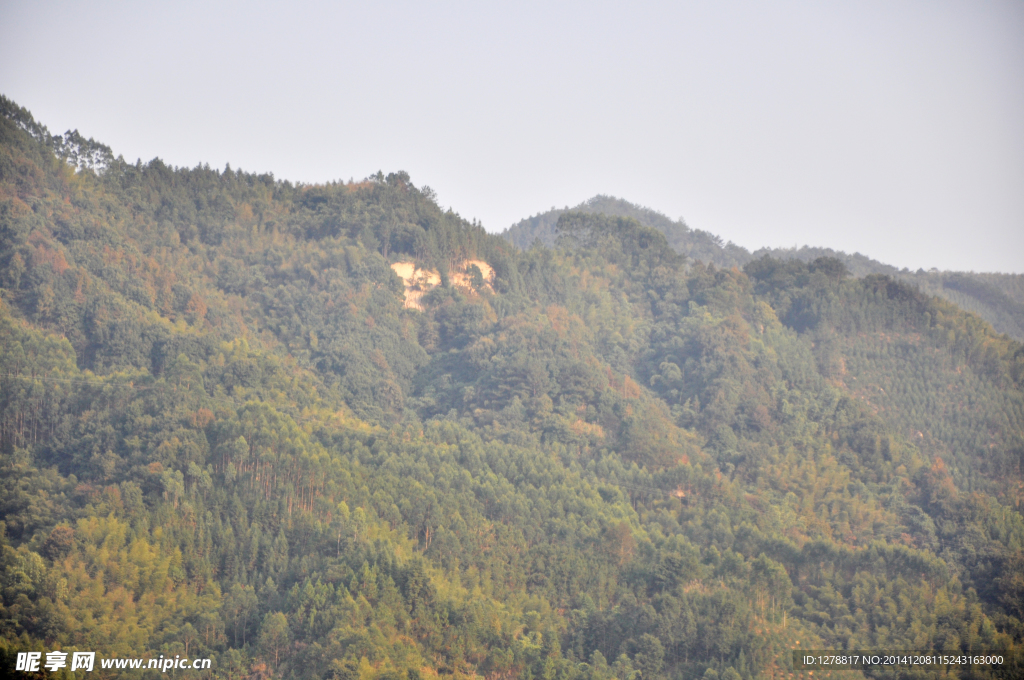 山中風景