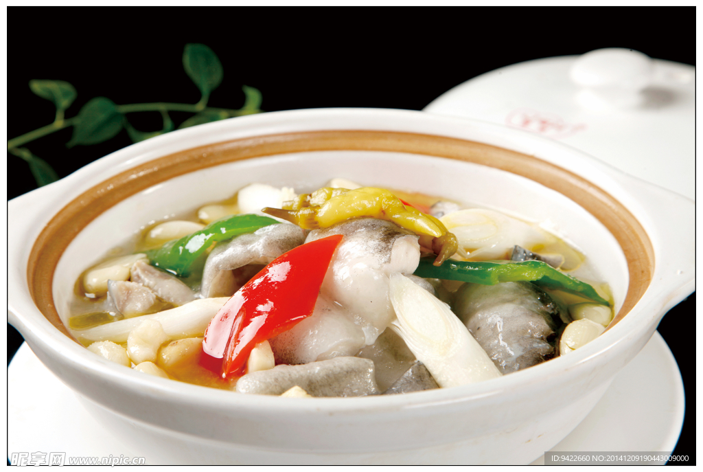 生燜鮰魚片