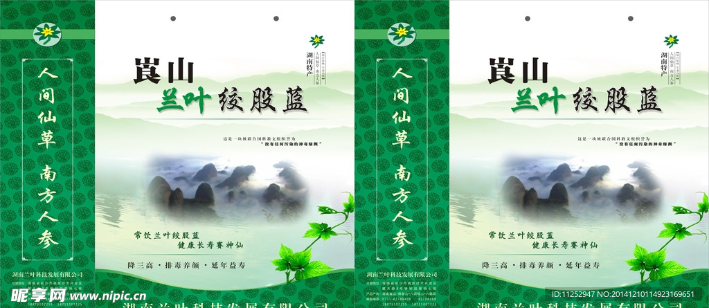 蘭葉膠股藍