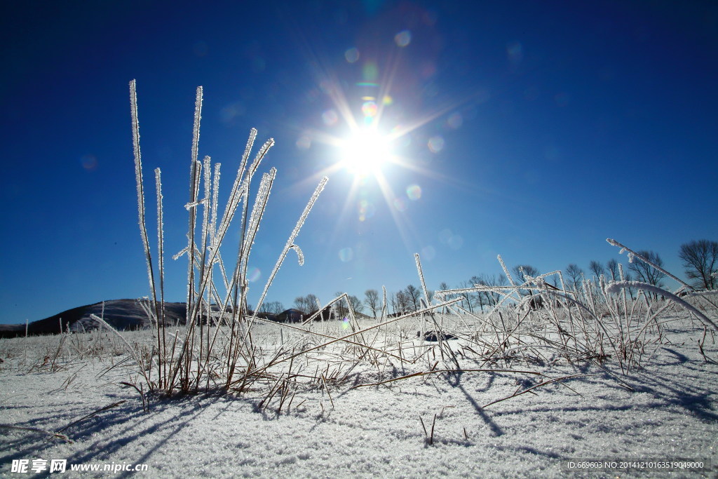 雪地阳光