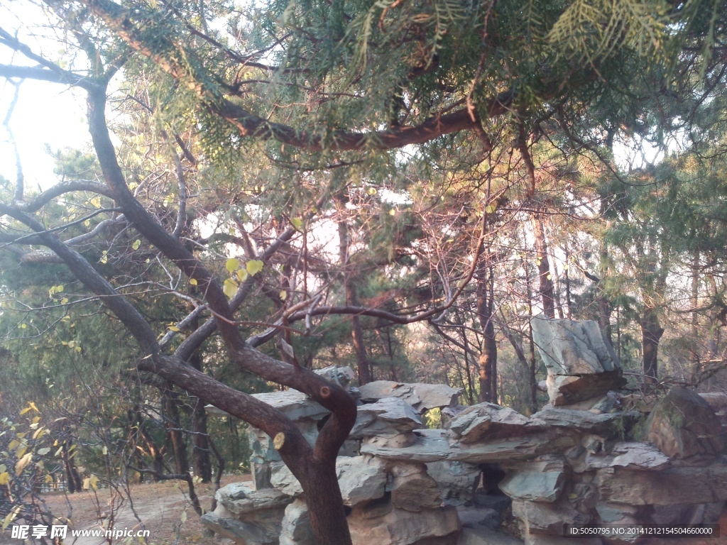 頤和園山石