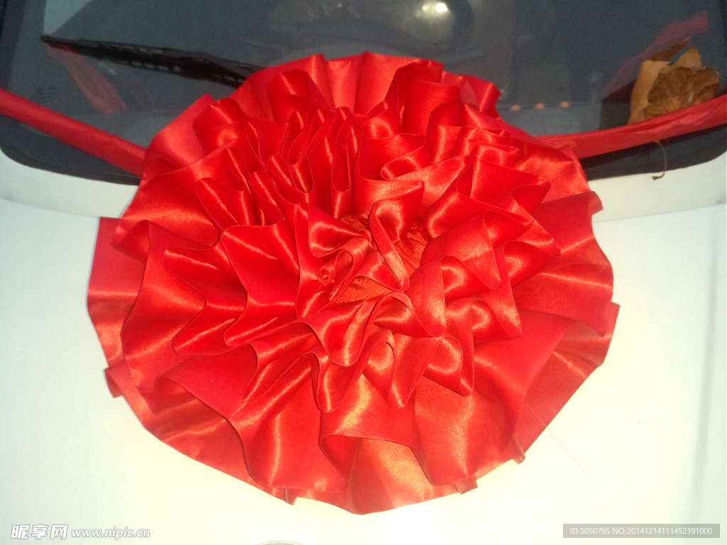 大紅花