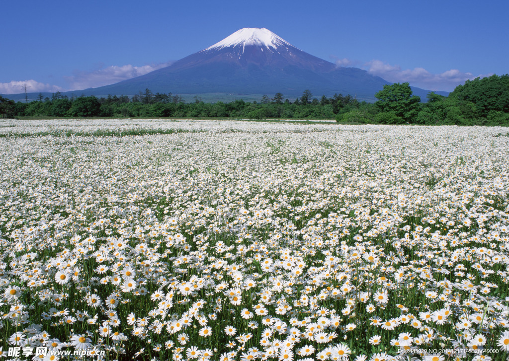 富士山