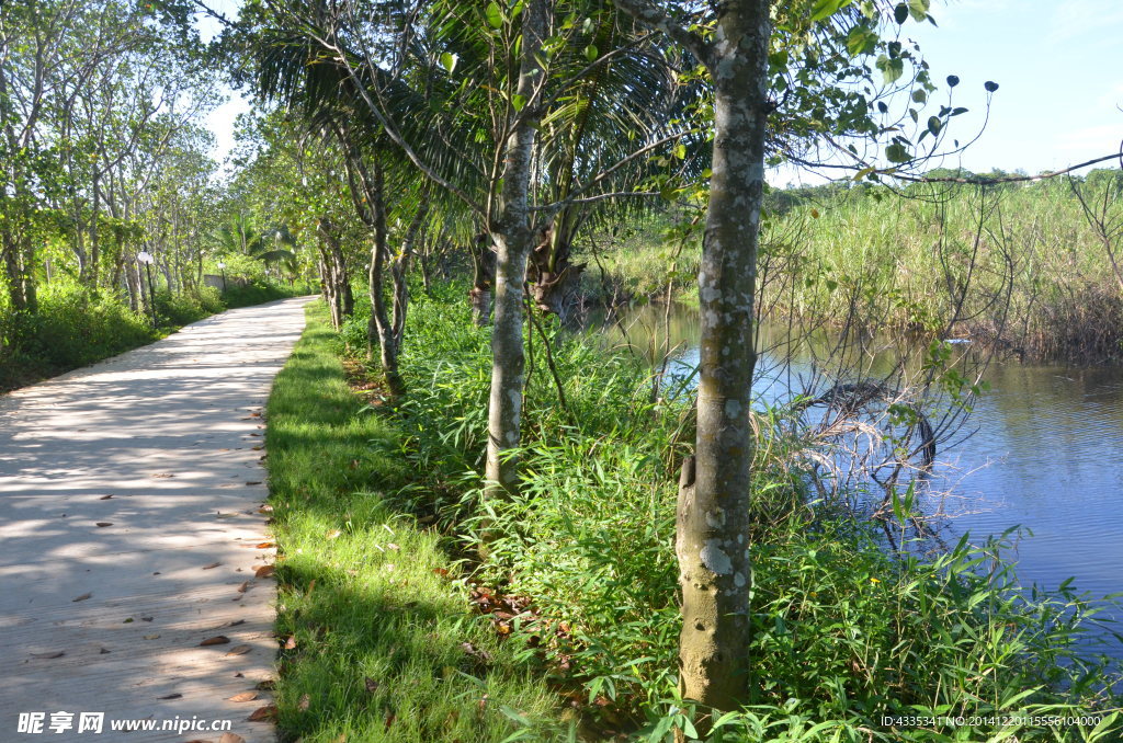 環湖路