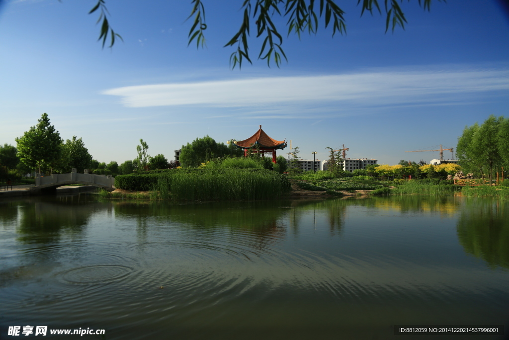 公園河流攝影