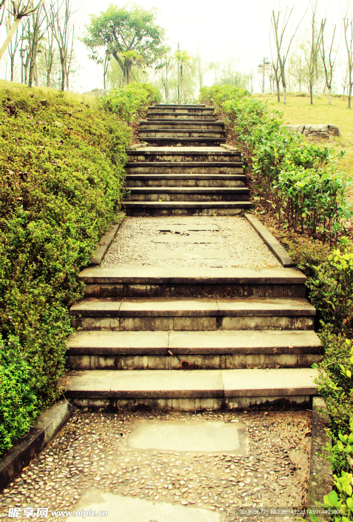 公園小徑