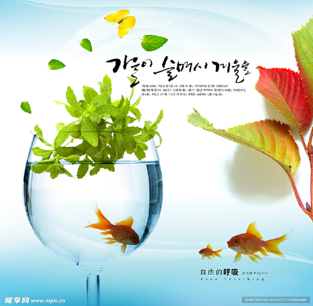 金魚 魚缸 海報(bào)