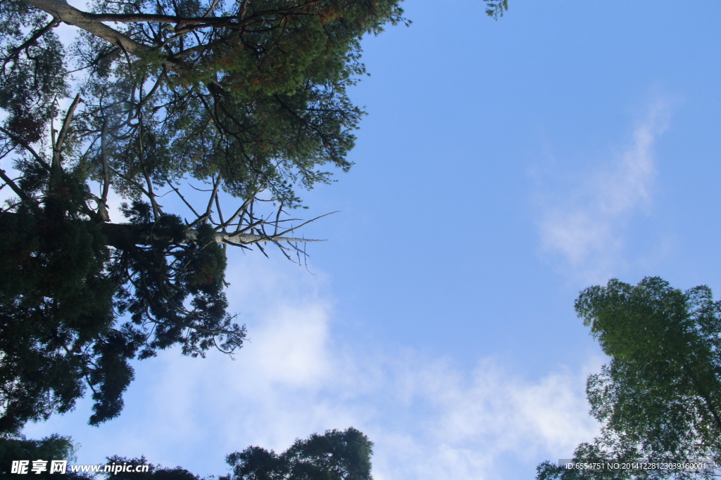 美麗天空