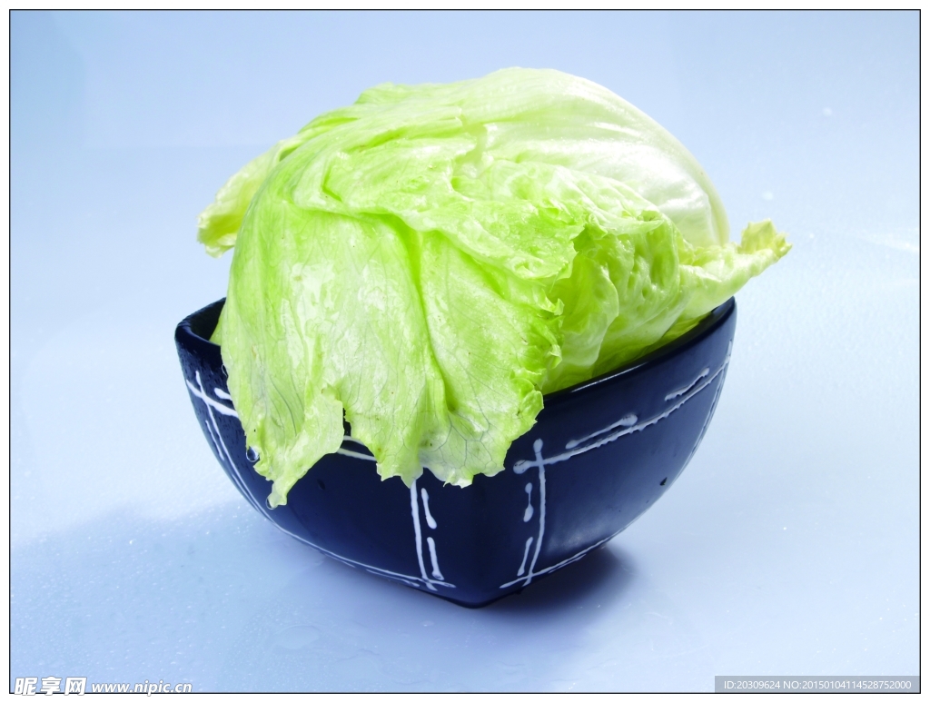 西生菜