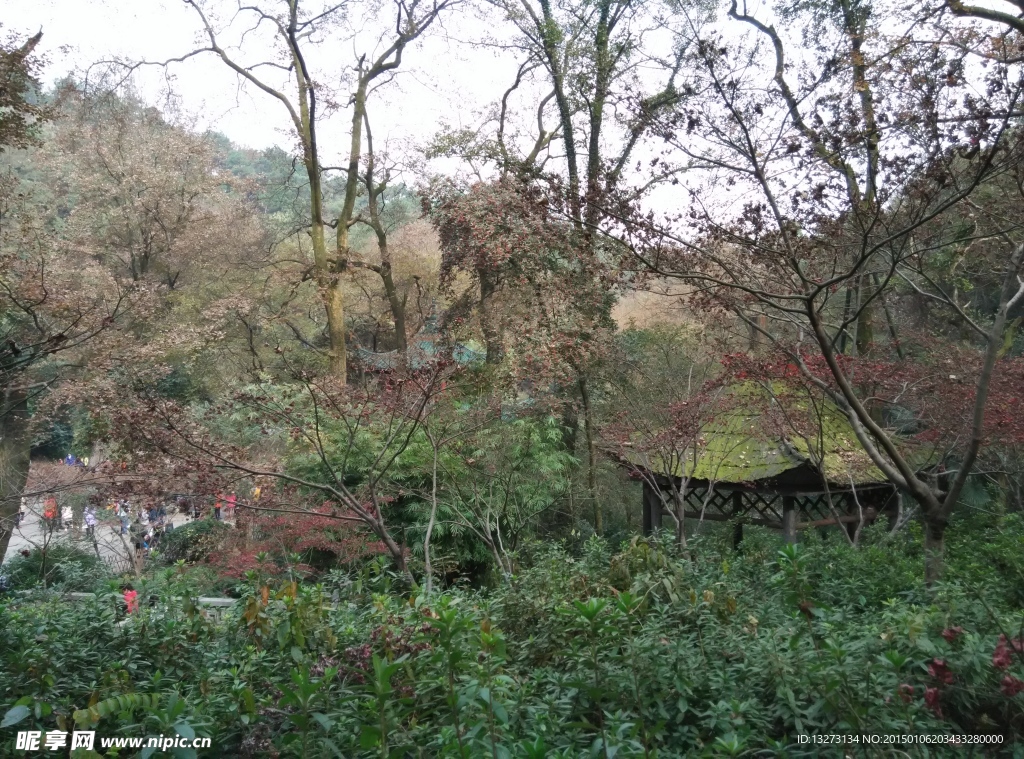 岳麓山