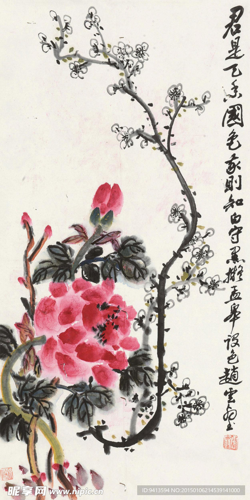 牡丹梅花