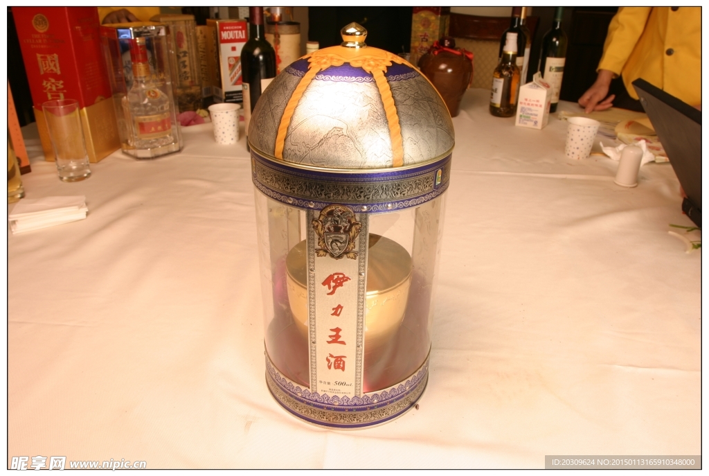 伊力王