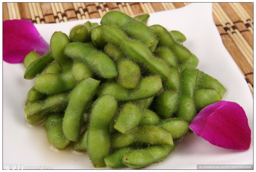 毛豆珍藏樓
