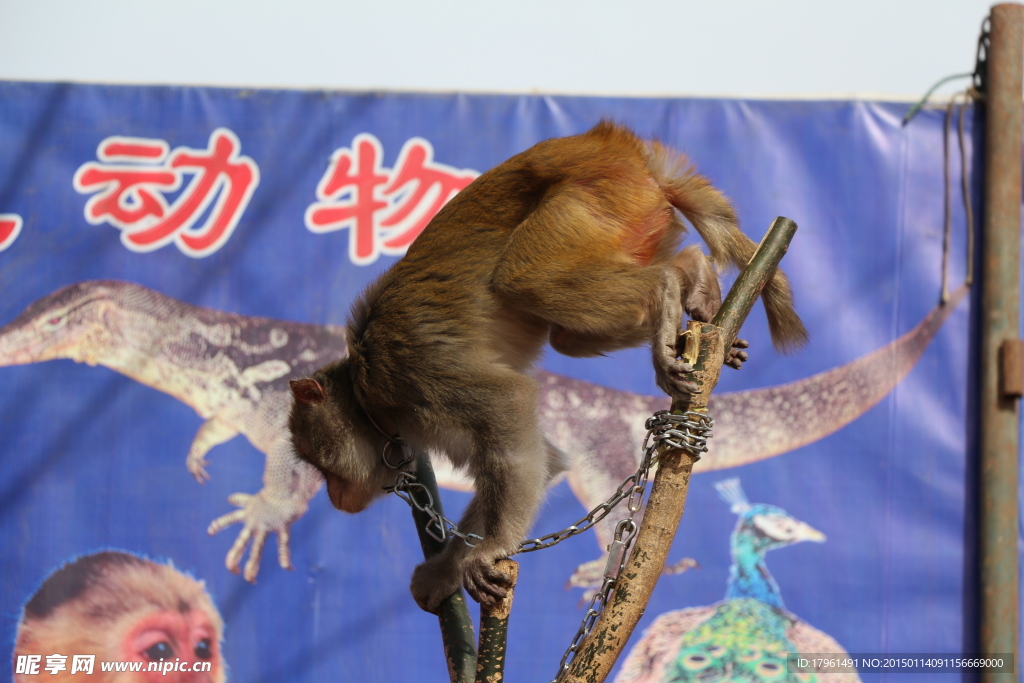 春節(jié)廟會(huì)