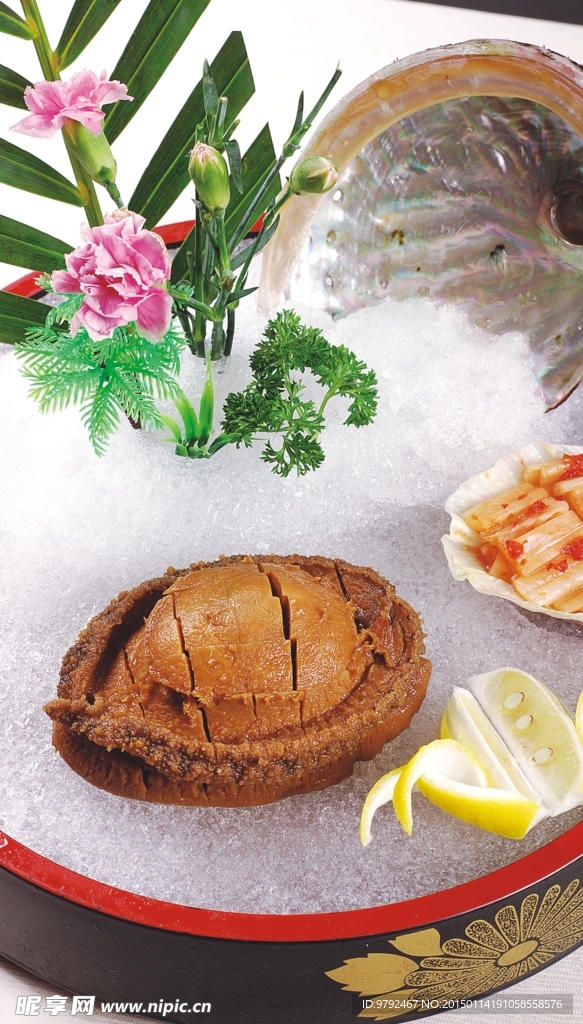 刺身冰鮑魚(yú)