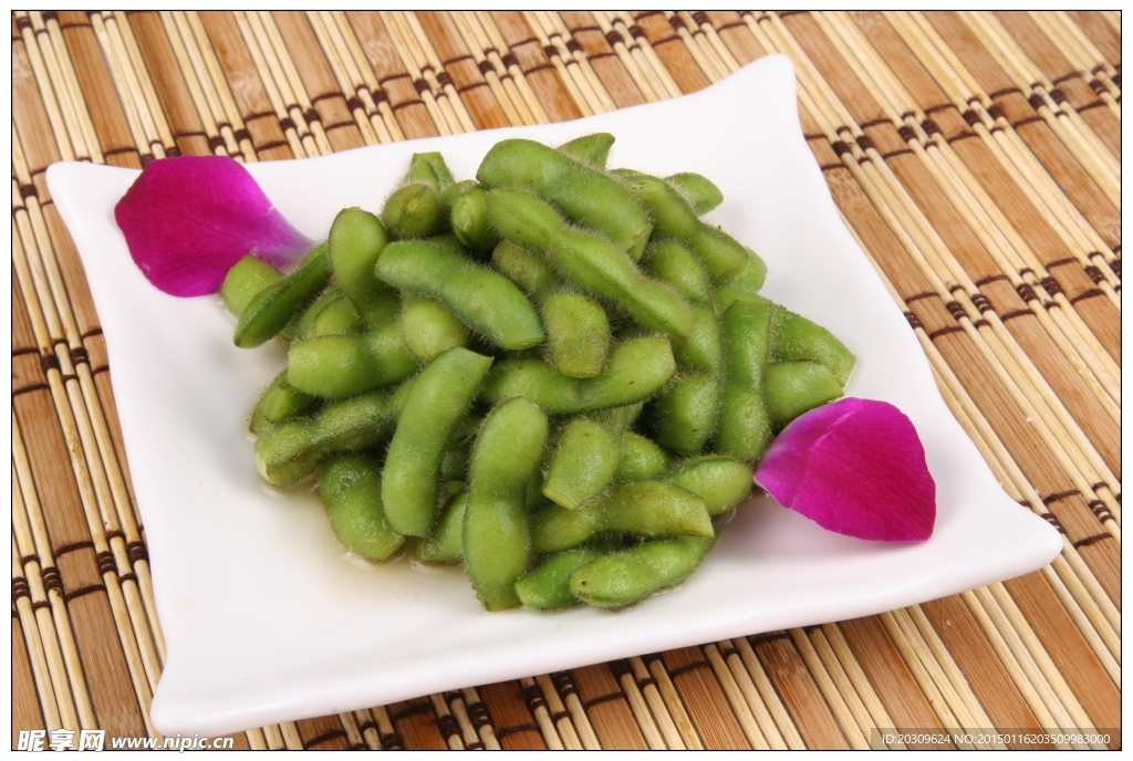 毛豆珍藏樓