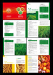 农业画册、宣传页