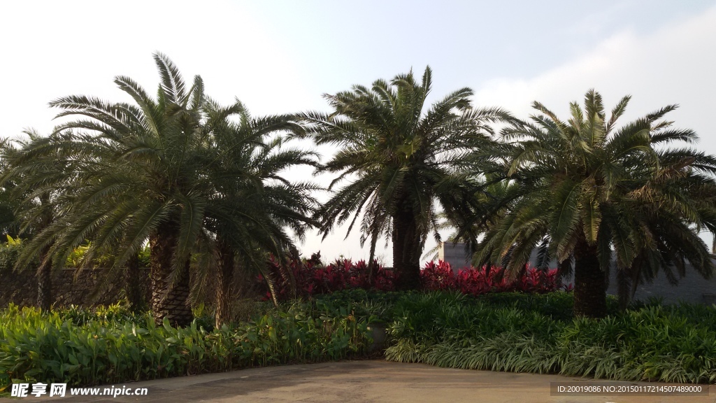 園林景觀素材
