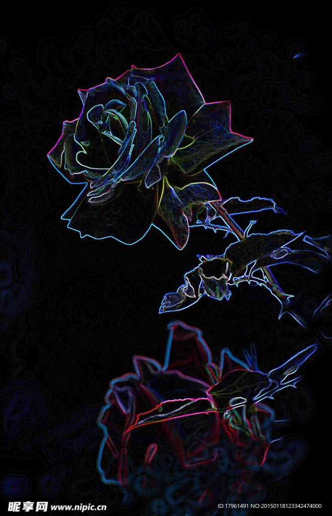 彩繪月季