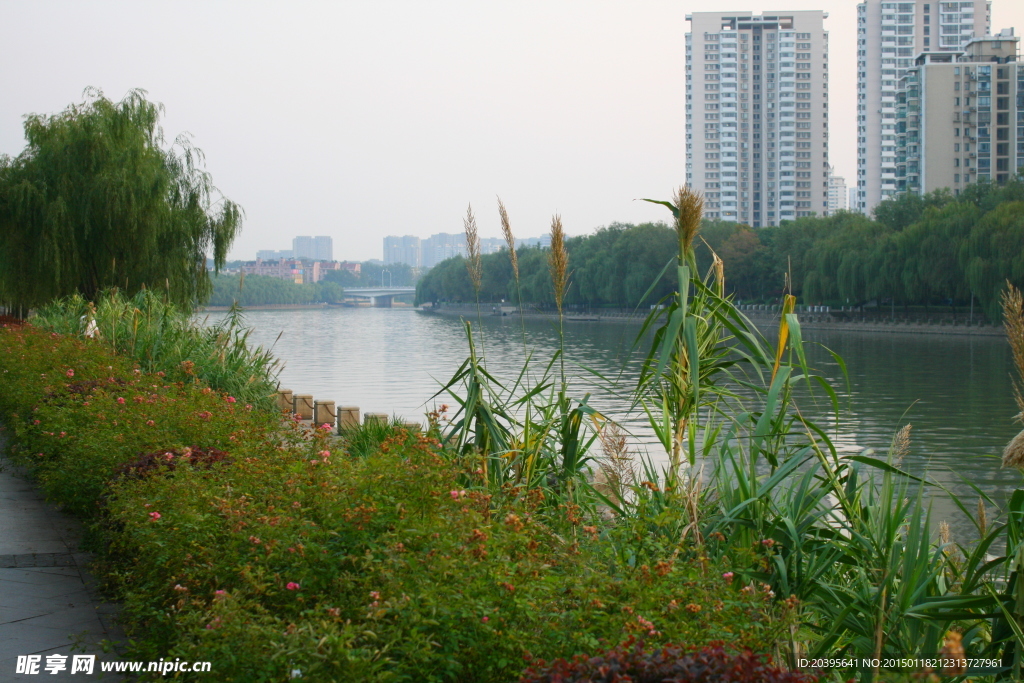 秦淮河風景