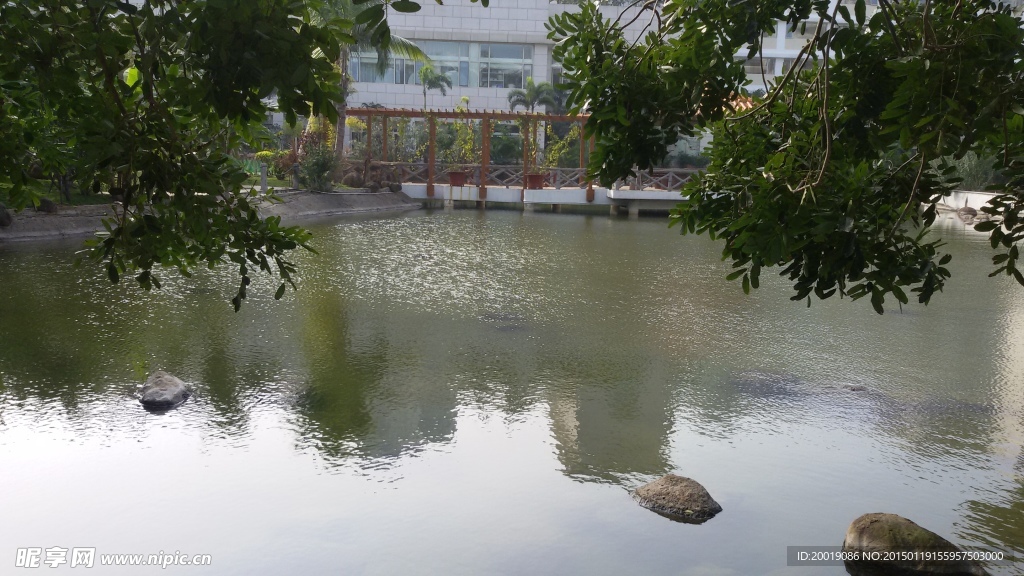 小區水池
