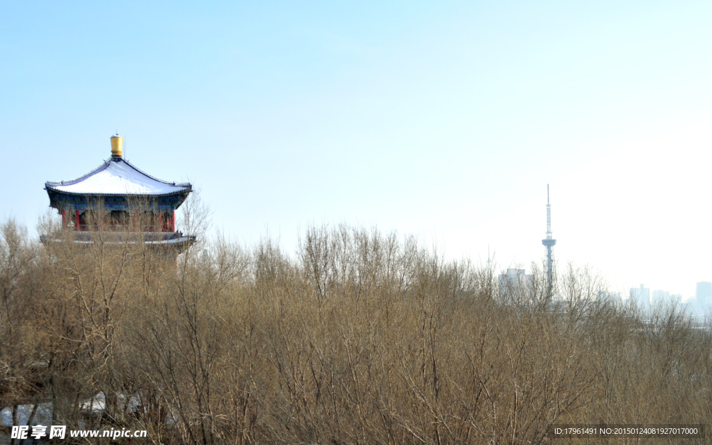 洪山公園