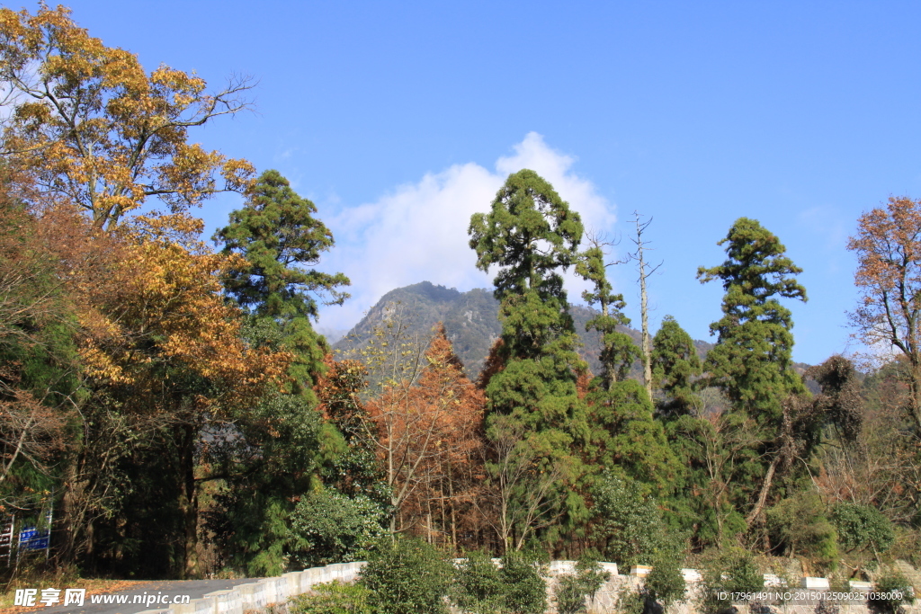天目山