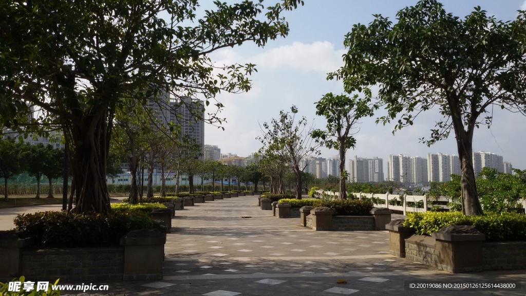 景觀路