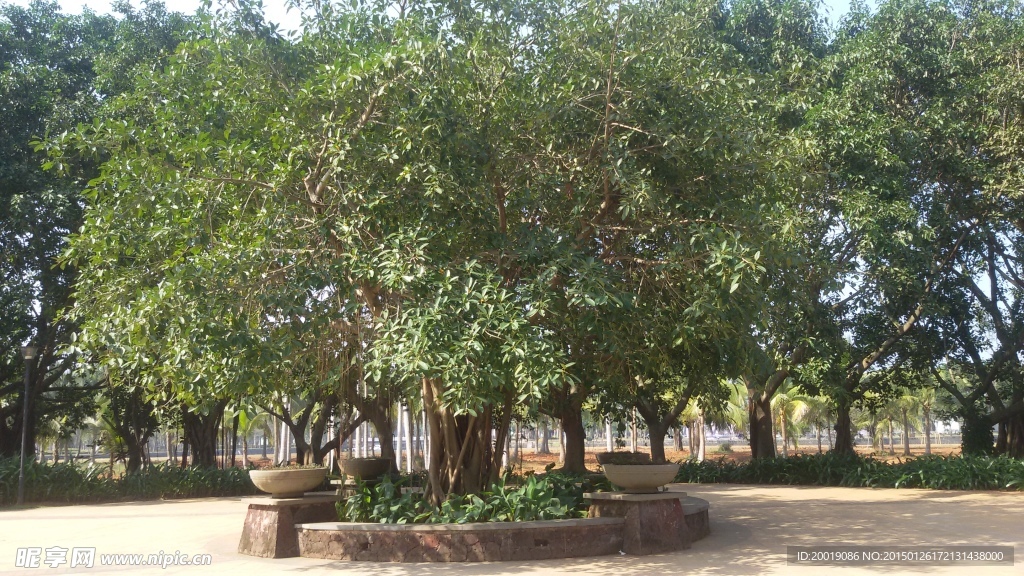 景觀園林
