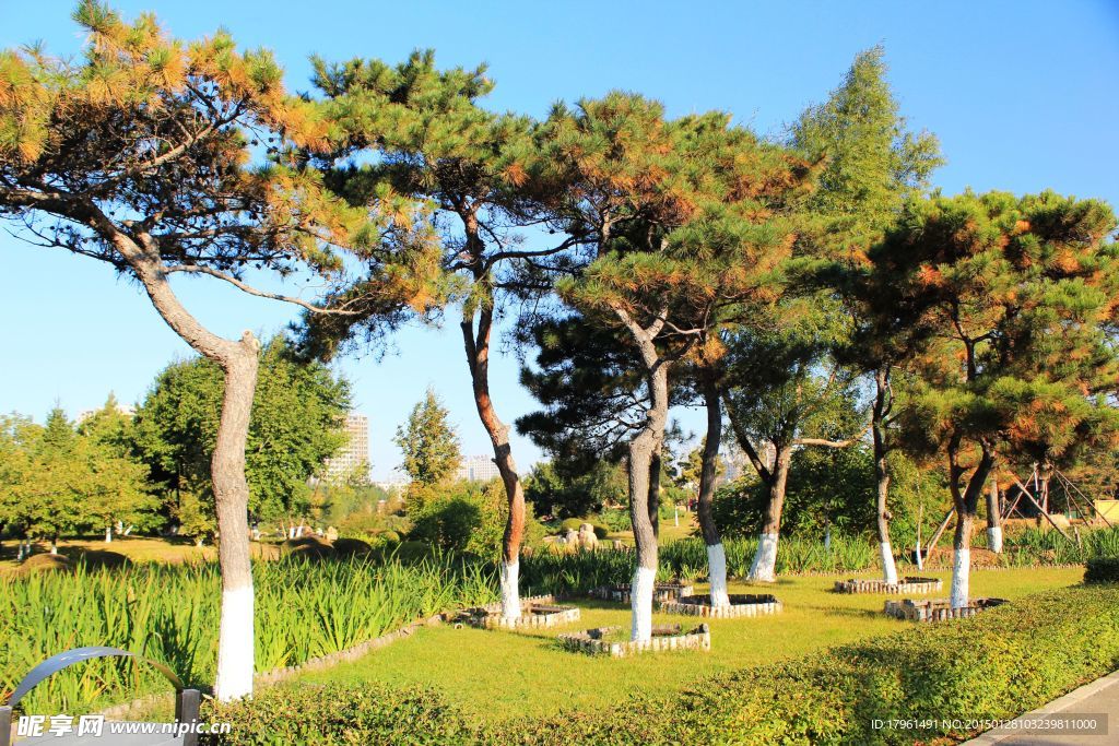 長(zhǎng)春公園