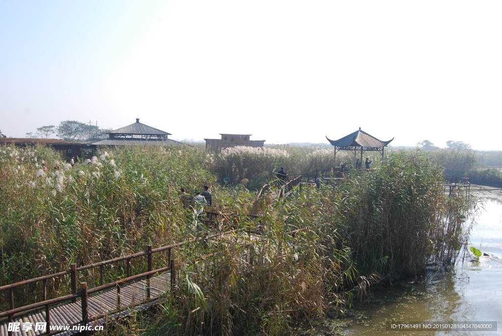 下渚湖
