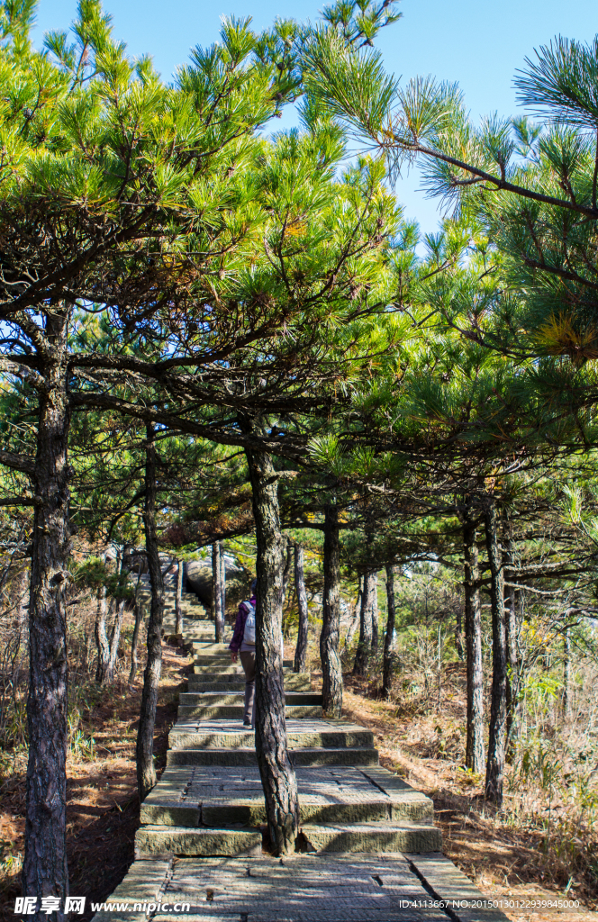 天柱山世界地質公園