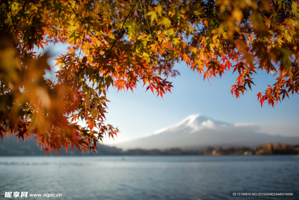 湖面秋景