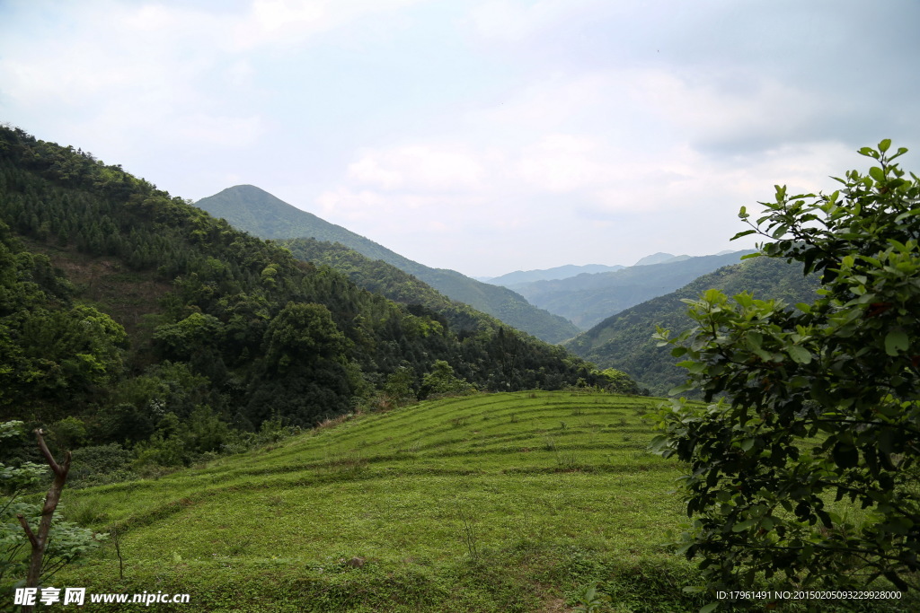 八排山