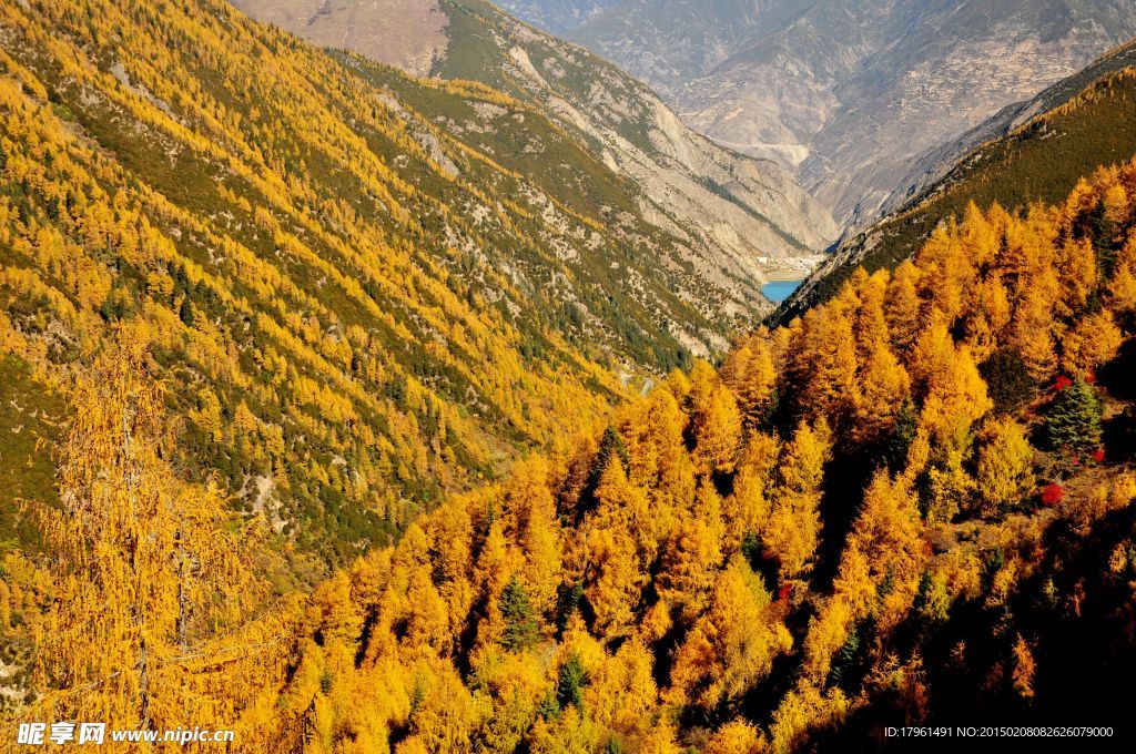 夾金山