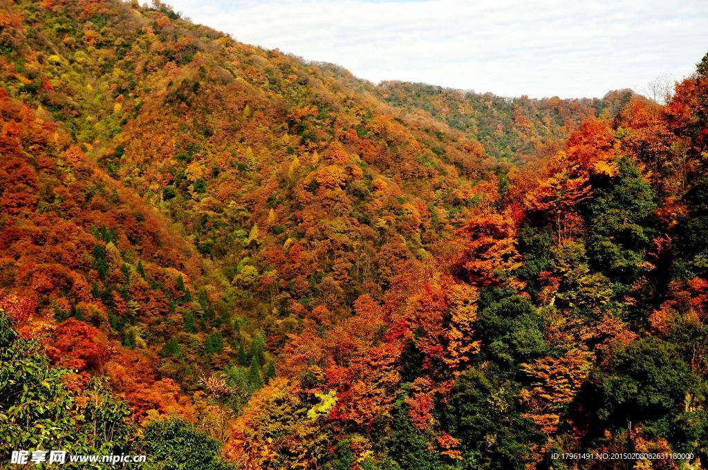 夾金山
