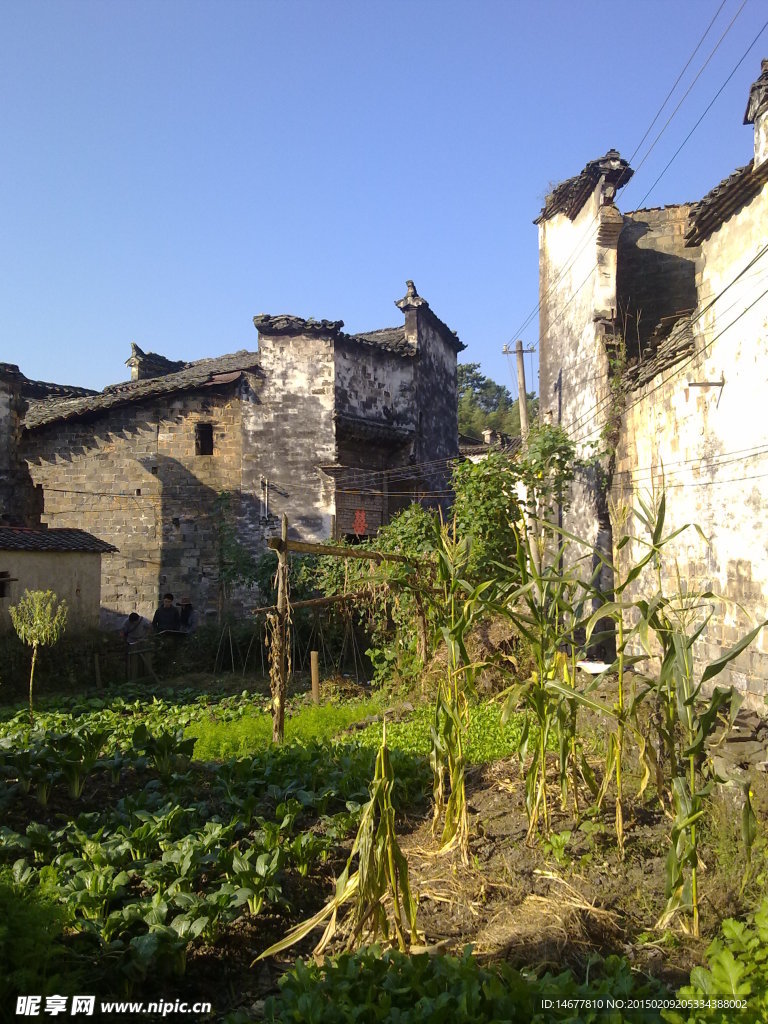 里坑民居