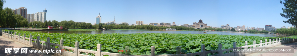 蓮花池全景