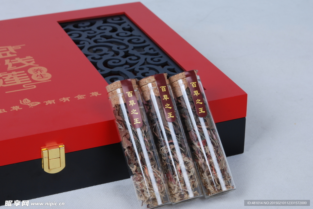 金線蓮