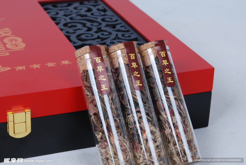 金線蓮