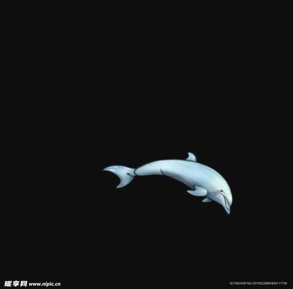 大海動(dòng)物視頻