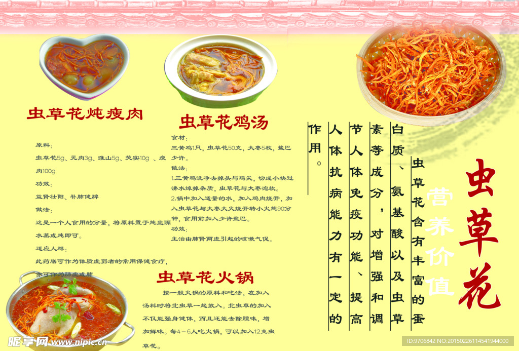 蟲草花簡(jiǎn)介
