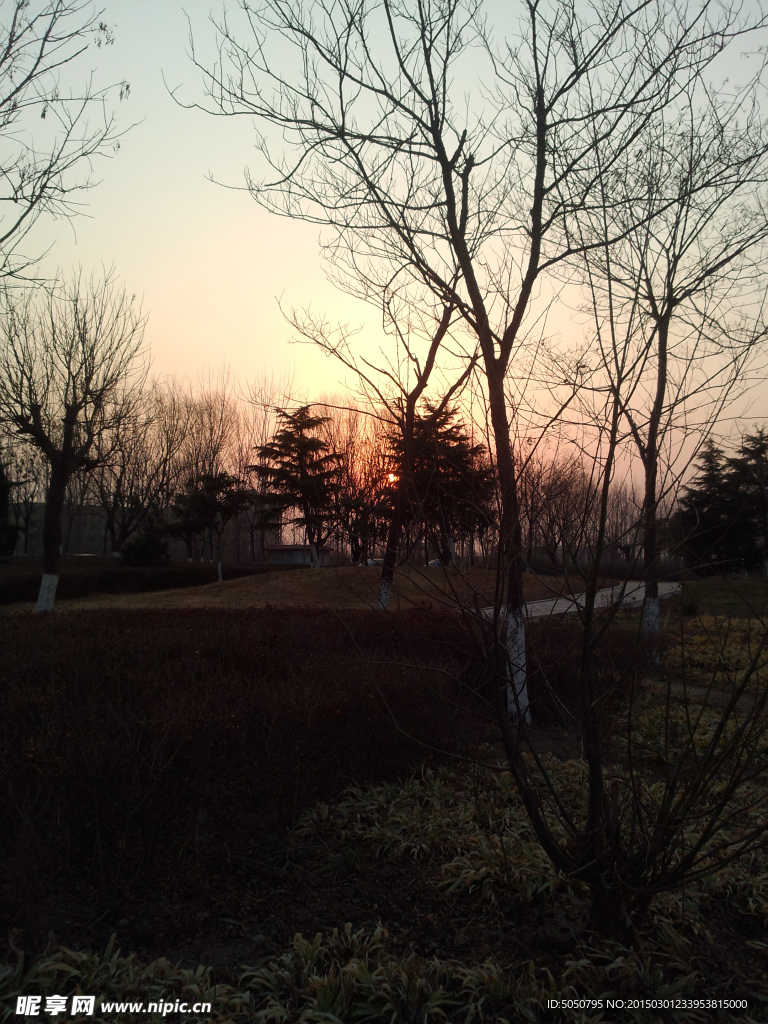 夕陽公園