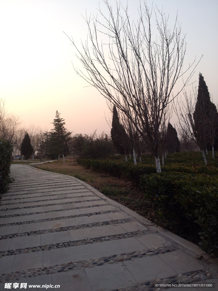 夕陽公園