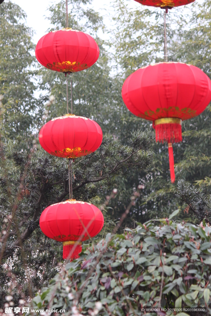 新年
