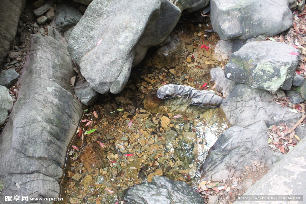 千島湖森林氧吧