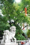 中山公园 石狮